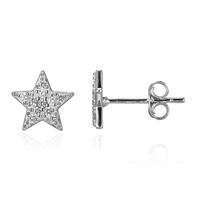 Orecchini in argento con Zircone