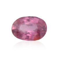 Zaffiro Padparadscha (non riscaldato)