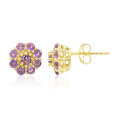 Orecchini in argento con Ametista
