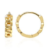Orecchini in argento