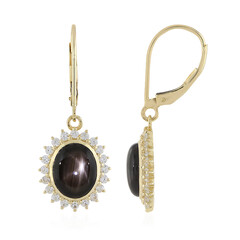 Orecchini in oro con Zaffiro Stellato Nero (La Revelle)