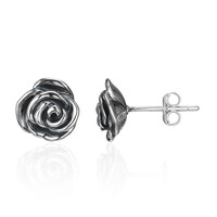 Orecchini in argento