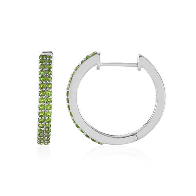 Orecchini in argento con Diopside Russo