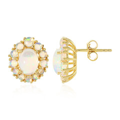 Orecchini in argento con Opale di Welo