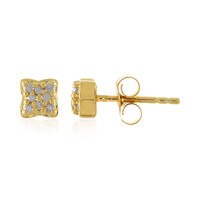 Orecchini in argento con Diamante I3 (H)