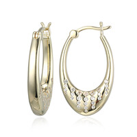 Orecchini in argento con Zircone