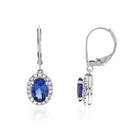 Orecchini in oro con Tanzanite AAA (CIRARI)
