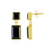 Orecchini in argento con Onice Nero