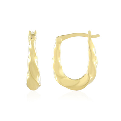 Orecchini in argento