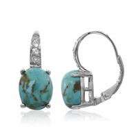 Orecchini in argento con Turchese