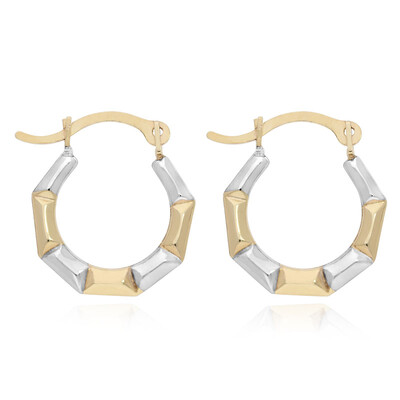 Orecchini in oro