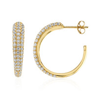 Orecchini in argento con Zircone