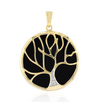 Ciondolo in argento con Onice Nero