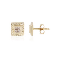 Orecchini in argento con Diamante Cioccolato I2