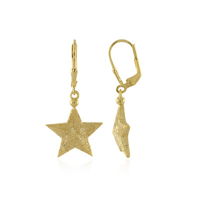 Orecchini in argento
