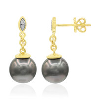 Orecchini in oro con Perla Tahitiana (TPC)