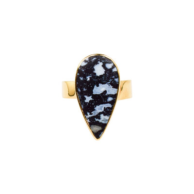 Anello in argento con Legno di Palma Pietrificato