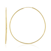 Orecchini in argento