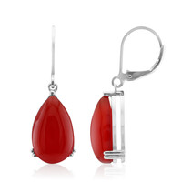 Orecchini in argento con Agata Rossa