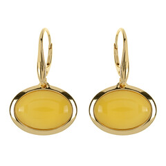 Orecchini in argento con Ambra Baltica