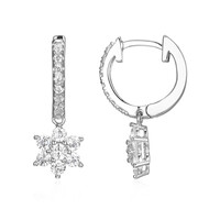 Orecchini in argento con Zircone