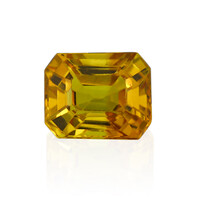 Gemma con Zaffiro Ceylon Giallo