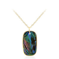 Collana in argento con Conchiglia Abalone