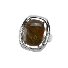 Anello in argento con Legno Fossile