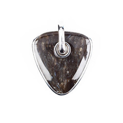Ciondolo in argento con Legno Fossile