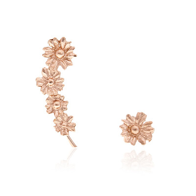 Orecchini in argento (Joias do Paraíso)