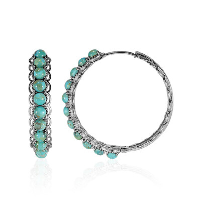 Orecchini in argento con Turchese