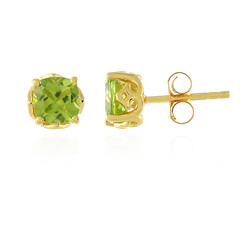 Orecchini in argento con Peridoto
