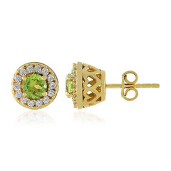 Orecchini in argento con Peridoto