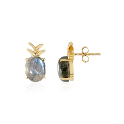 Orecchini in argento con Labradorite