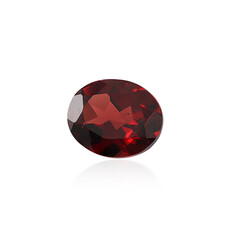 Gemma con Granato Mozambico 3,373 ct
