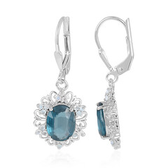 Orecchini in argento con Cianite Blu Foglia di Tè