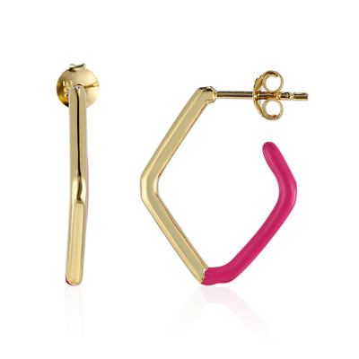 Orecchini in argento