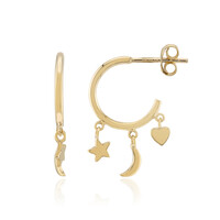 Orecchini in argento