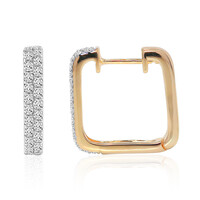 Orecchini in oro con Diamante SI1 (G)