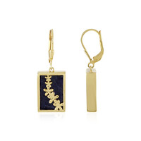 Orecchini in argento con Sodalite