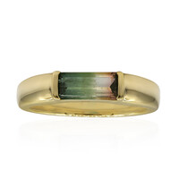 Anello in oro con Tormalina Bicolore