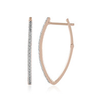 Orecchini in argento con Zircone