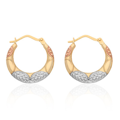 Orecchini in oro