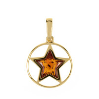 Ciondolo in argento con Ambra Baltica