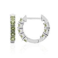 Orecchini in argento con Peridoto della Birmania