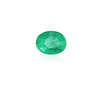 Gemma con Smeraldo Zambia 0,284 ct