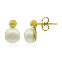 Orecchini in argento con Perla di Acqua Dolce (TPC)