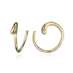 Orecchini in argento