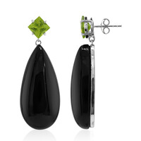 Orecchini in argento con Onice Nero