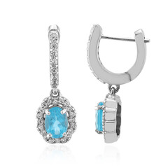 Orecchini in argento con Apatite Blu